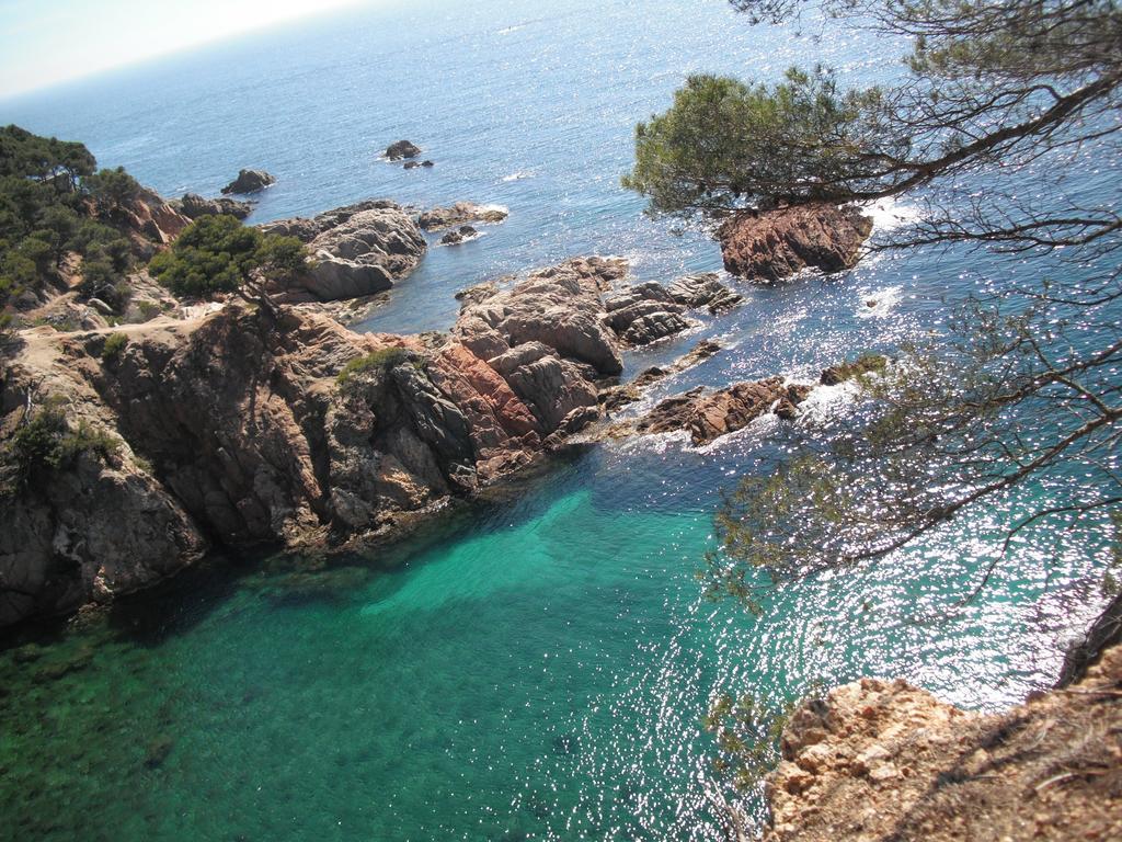 Laura La Fosca Apartment Palamos Ruang foto
